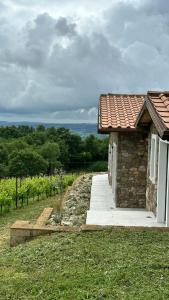 House Among Regenerative Vineyards Near Bolsena
