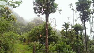 Upasana Retreat