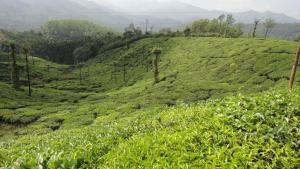 Upasana Retreat