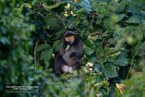 PIDA Coffee Farm Lodge Mondulkiri