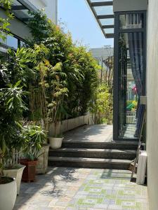 Bắp Villa Huế