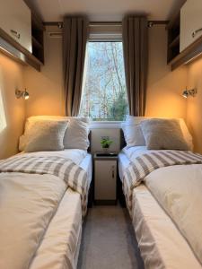 Archerfield Luxe Lodge
