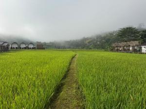 สะปันดีวิว Sapan Dee View บ่อเกลือ น่าน