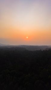 ELIVAAS Twisted Tree Together 2-BHK Villa with Shared Pool, Bar & Restaurant