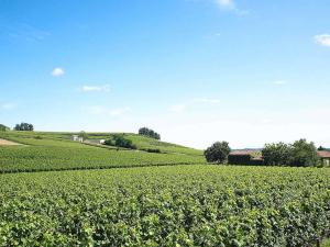 ibis Bordeaux Saint Emilion