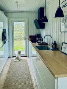 New England-Style Cottage Near Dronningmølle