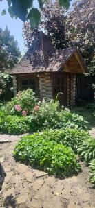 Світлиця затишку та натхнення