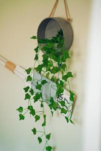 Stylish 4 Bed flat in the heart of Hackney