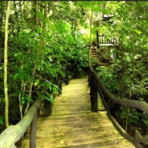 Jarabacoa Dream Paradise Eco Lodge 1 La Casona