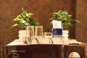 Studio in Greater Noida