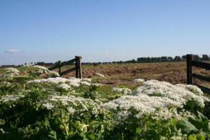 t Wapen van Middelie