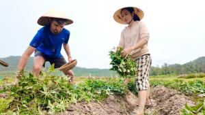 Coto Center Homestay