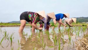 Coto Center Homestay