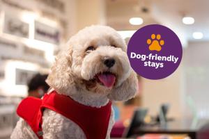 Premier Inn Dubai Silicon Oasis - An Emirates Group Company