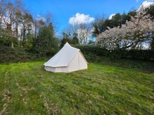 Lurley Woodland Glamping