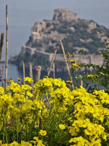 Campagnano Rural Suite & Spa