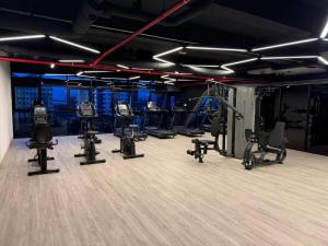 Piccadilly Greentown Ipoh ,2 Bedroom 4-5 pax , private parking, wifi , pool & gym