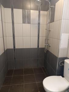 411th Residence One Bedroom Apartment