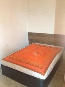 Appartement N2 F1 vue mer route des Sanguinaires