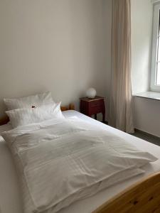 4-Zimmer-Apartment-Saarbrücken-Ost für privat und geschäftlich Reisende