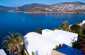 The White Collection - Villa Sky