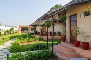 Forest Mud Villas