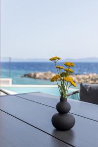 Villas Mare & Luce - Beachfront Complex