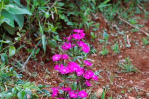 Sychar Farm Homestay