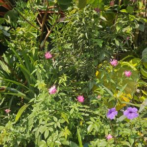 Champa Phan Boutique Hotel