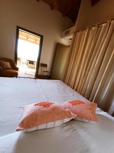 Tanca Del Conte img75