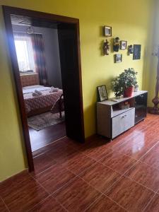 Blissful Hostel