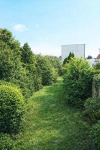 Appartement rénové 50M2 avec jardin commun