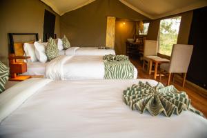 Baobab Mara Luxury Camp