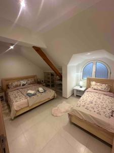 Iva Studio