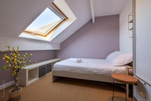 Wonderful Triplex 6P - 8min Disney