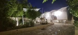 Maryblue Dreams House