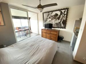 Studio 2 couchages CAP DAGDE NATURISME CN020-323