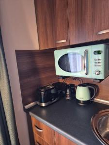 Sun-Kissed Emerald Studio Panorama View Ski & Bike