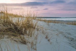 Wild Island Suit & Beach - Sopot