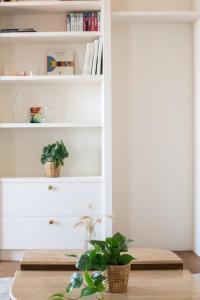 Le Belvédère de lOcéan