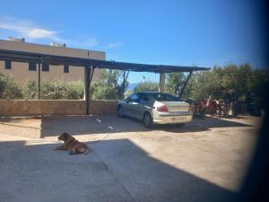 Vila Neve 87 Apartman