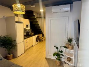 Biznaga Apartamentos 2A