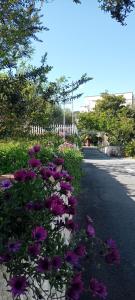 Residenza Al Borgo