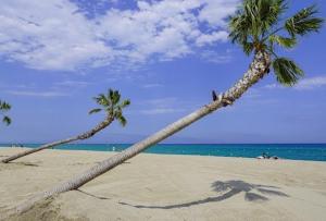 Studio cosy à 300 m de la plage idéal pour profiter de la vie nocturne été