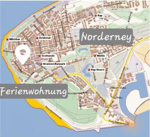 Muschel 5
