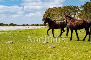 La Terrazza su Simius - Villasimius img32