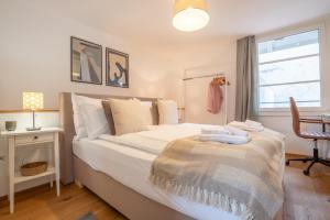 Special TOP LUX 32 Apartment, Top Lage!!! Luxuriös!!! Ruhig!!! Rheinufer!!! Altstadt Kleinbasel 10-STAR