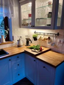 Domek Babiogórski z JACUZZI