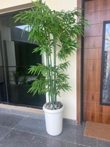 Milano Vip1