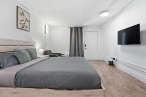 Bright open studio with modern vibe